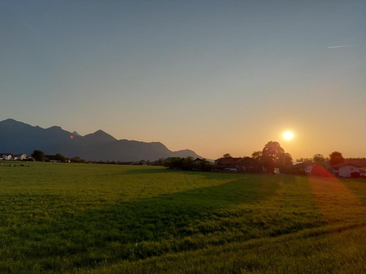 Oberhuber *