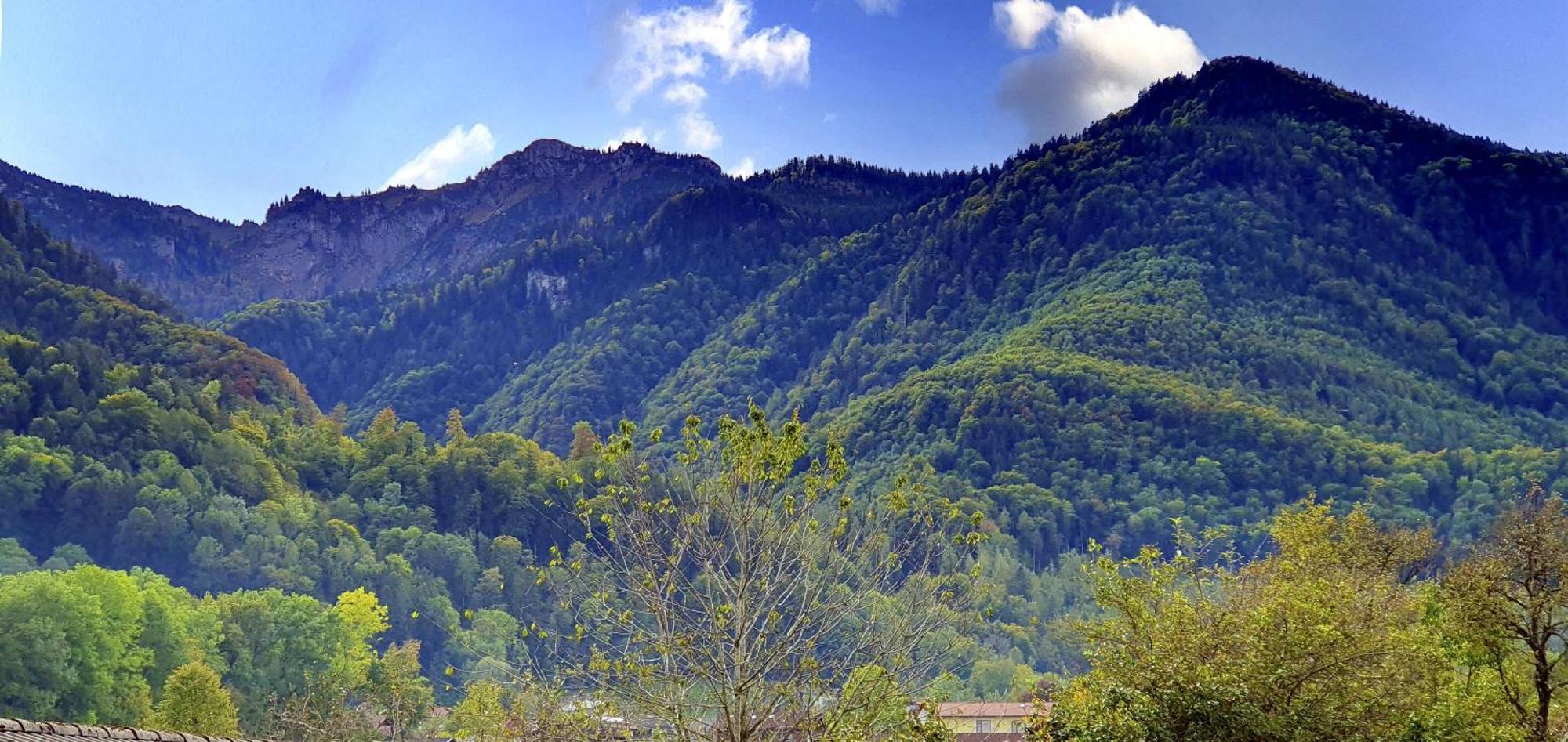 Oberhuber * Staudach-Egerndach